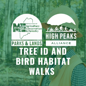 Tree ID and Bird Habitat Walks - logo